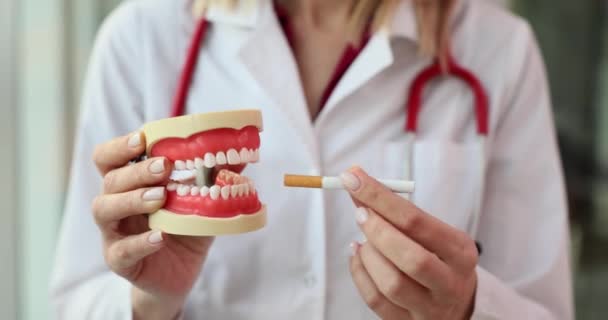 吸烟的危险和香烟对牙齿的影响 牙医把香烟放进下巴模型 — 图库视频影像