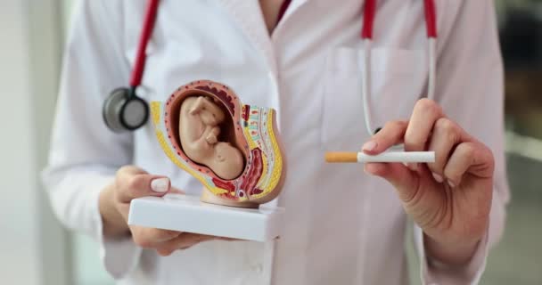 Nőgyógyász Cigarettajelentést Tart Dohányzás Terhesség Alatti Káros Hatásairól Dohányzás Terhesség — Stock videók
