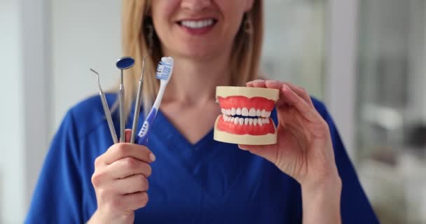 Крупный План Стоматолога Моделью Челюсти Человека Зубами Зубной Щеткой Зеркалом — стоковое видео
