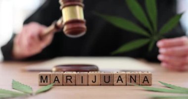 Esrar yasasının karmaşıklığı ve esrarın yasallaştırılması. Marihuana konseptinin yetiştirilmesi ve satışının yasallaştırılması