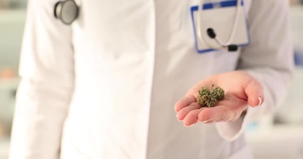 Tıbbi Marihuana Reçete Bir Doktorun Elinde Esrarın Ilaçtaki Faydaları Zararları — Stok video