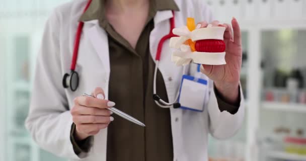 Docteur Montre Une Hernie Intervertébrale Sur Colonne Vertébrale Table Problèmes — Video