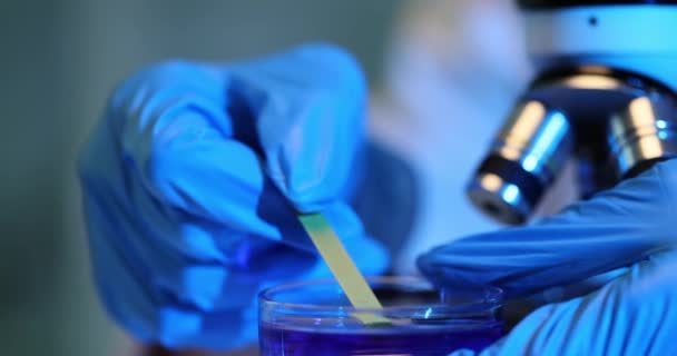 과학자는 테스트 스트립을 보유하고 현미경으로 분석을 액체로 습기를 공급합니다 실험실에서의 — 비디오