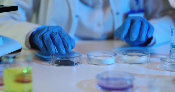 Naukowiec Bada Naczynia Petriego Rosnącymi Bakteriami Urządzenia Kolb Wyrobów Szklanych — Wideo stockowe