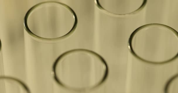 Üres Üvegcsövek Sorai Laboratóriumban Üvegcső — Stock videók