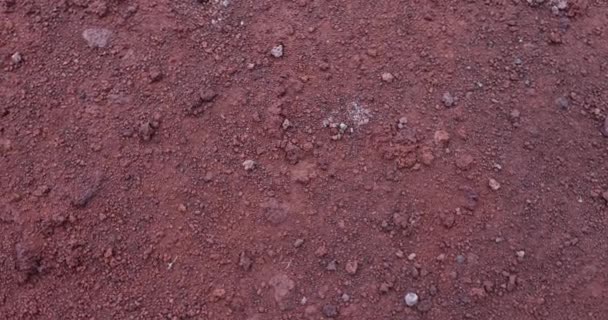 Suolo Rosso Sfondo Texture Sul Vulcano Terra Naturale Laterite Terra — Video Stock