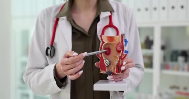 Proktolog Ukazuje Různé Části Plastového Prototypu Lékař Ilustruje Různé Aspekty — Stock video