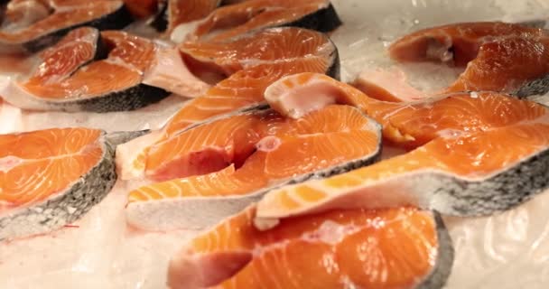 Fresh Salmon Steaks Rich Color Texture Display Sought Sea Ingredient — Stock Video