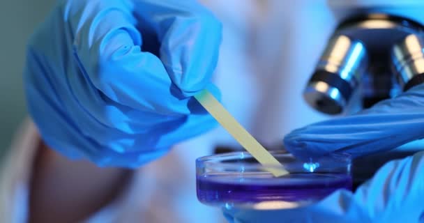 Scientist Holds Test Strip Soaked Purple Liquid Analysis Microscope Determination — Stock Video
