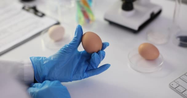 Forskare Studerar Ägg Laboratorium Kontroll Kycklingäggens Kvalitet Och Sammansättning Ett — Stockvideo