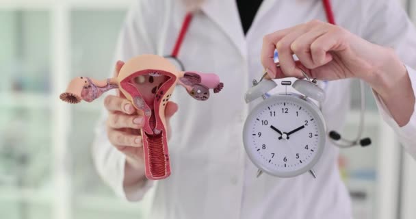Візуалізація Менструального Циклу Жіночої Репродуктивної Системи Час Лікувати Жіночі Хвороби — стокове відео