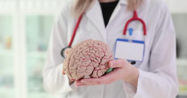 Modell Des Menschlichen Gehirns Den Händen Eines Arztes Forschung Zur Videoclip