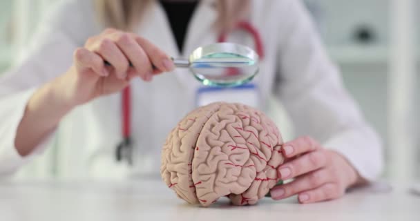 Hjärnmodell Och Artificiell Intelligens Doktorn Undersöker Hjärnan Med Ett Förstoringsglas — Stockvideo