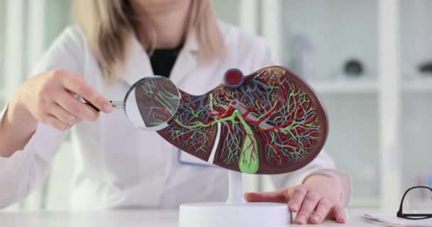 Modelo Hígado Con Vesícula Biliar Páncreas Manos Médico Médico Con — Vídeos de Stock