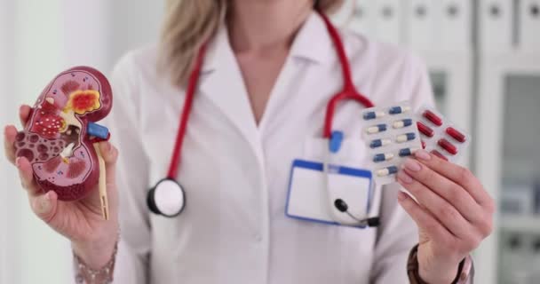 Modelo Anatómico Riñón Píldoras Manos Médico Tratamiento Enfermedad Renal — Vídeo de stock