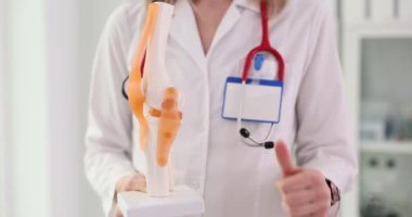 Diz ekleminin anatomik modeli ve bir doktor. Diz kemikleri ve kasların anatomisi.