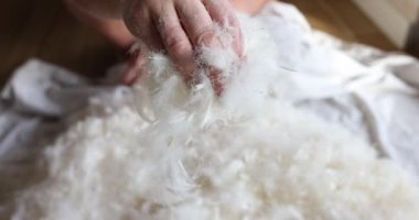 Bir sürü beyaz kaz tüyü. Kaliteli yastık dolumu seçiliyor