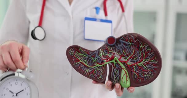 Dokter Heeft Een Anatomisch Levermodel Een Wekker Leverbehandelingstijd — Stockvideo