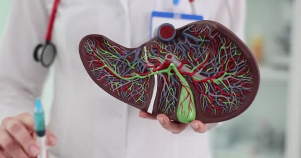 Alat Suntik Anatomi Hati Dan Perawatan Hepatitis Klinik Perawatan Hati — Stok Video