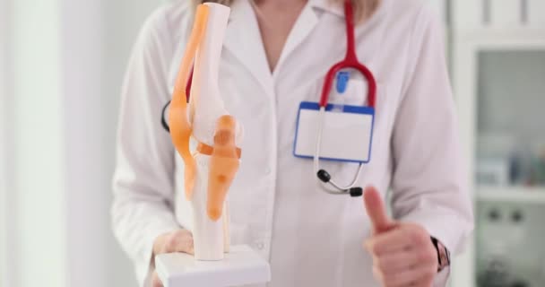 Anatomisches Modell Eines Menschlichen Kniegelenks Und Eines Arztes Anatomie Der Lizenzfreies Stock-Filmmaterial
