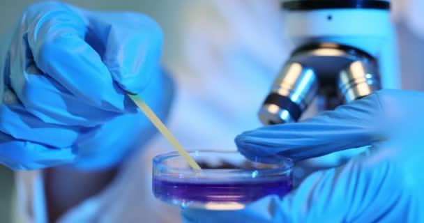 Científico Realiza Experimento Químico Con Líquido Placa Petri Con Una — Vídeo de stock