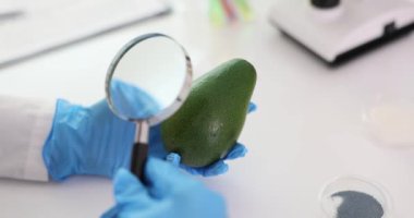 Avokadonun yüzeyini laboratuarda büyüteçle inceliyorum. Taze avokado meyvelerinin kimlik tespiti sonuçları