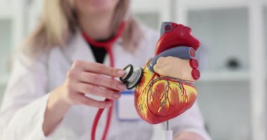 Kalp modelinde steteskop kullanan bir doktor. Koroner kalp hastalığı semptomları ve tedavisi