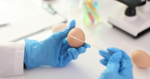 研究目的で茶色の卵とスワブを保有する科学者 鶏卵の品質の研究と分析 — ストック動画