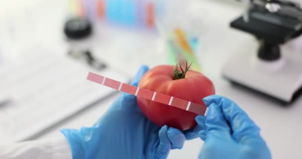 Používám Kolorimetr Měření Barvy Rajčete Laboratoři Kvalita Rajčatového Ovoce — Stock video