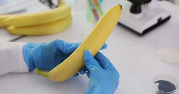 Primo Piano Degli Scienziati Che Tengono Mano Banana Laboratorio Controlla — Video Stock