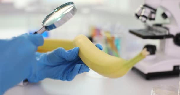 Научное Исследование Образцов Бананов Помощью Лупы Лабораторных Условиях Проверка Качества — стоковое видео