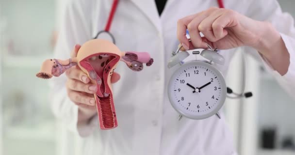 Model Uterus Alarm Clock Hands Gynecologist Time Menstrual Cycle — стоковое видео