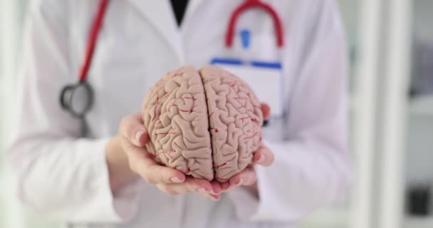 Anatomisches Modell Des Menschlichen Gehirns Den Händen Eines Arztes Kognitive — Stockvideo