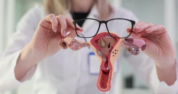 Modell Det Kvinnliga Reproduktionssystemet Och Glasögon Gynekologiska Sjukdomar Hos Kvinnor — Stockvideo