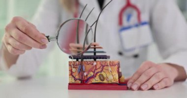 Üç boyutlu deri modeli deri anatomisi için görsel bir rehber. Büyüteci olan kozmetolog insan derisinin yapısını inceliyor.