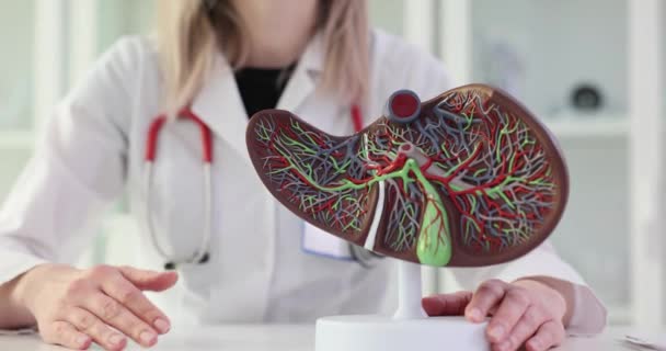 Функціональна Анатомія Фізіологія Печінки Доктор Показує Структуру Печінки Клініці — стокове відео