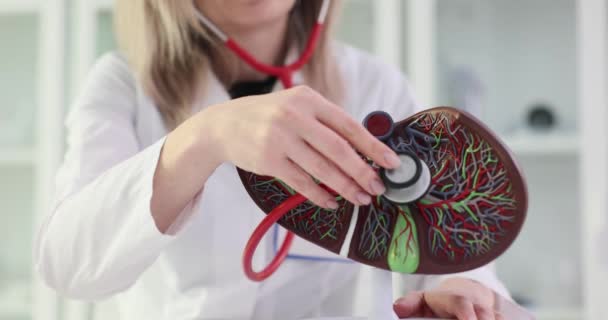 Медичний Гастроентеролог Або Гепатолог Тримає Руках Анатомічну Модель Печінки Людини — стокове відео