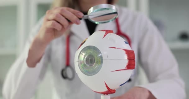 Модель Человеческого Глаза Изучается Помощью Лупы Структура Функции Глаза Анатомии — стоковое видео