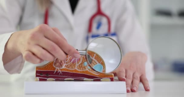Лікар Моделлю Анатомії Молочної Залози Збільшенням Скла Клініці Імплантація Діагностика — стокове відео