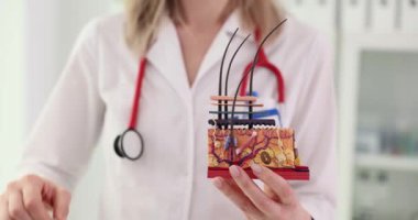 Cilt yuvarlak ritim ve doktor deri modeli ve çalar saat tutuyor. Cilt yaşlanma ya da gençleşme zamanı