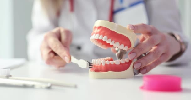 Dentista Muestra Cómo Cepillarse Los Dientes Correctamente Higiene Oral — Vídeos de Stock