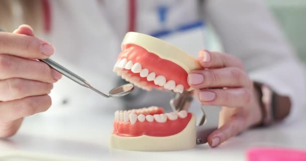 Diş Hekimi Diş Diş Etlerini Diş Aynası Kullanarak Inceler Diş — Stok video