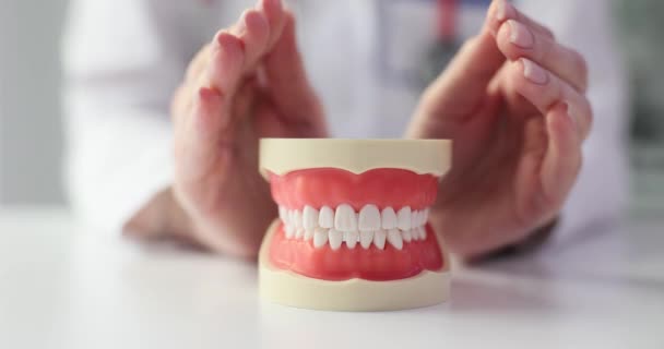 Модель Человеческих Зубов Десен Руках Стоматолога Страхование Зубов — стоковое видео