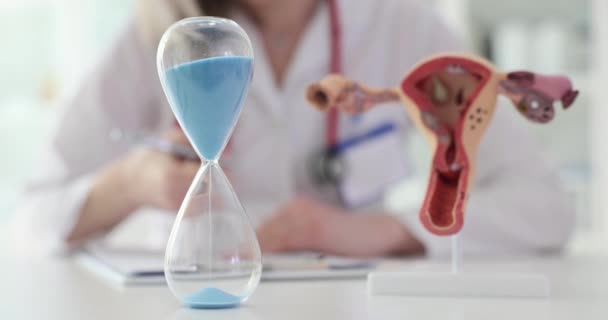 Zandloper Gynaecoloog Met Een Anatomisch Model Van Baarmoeder Tijd Voor — Stockvideo