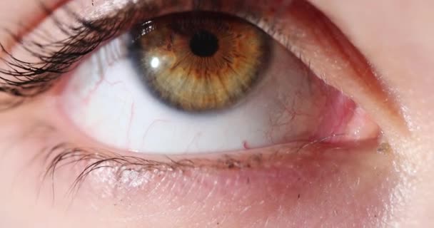 Kahverengi Göz Kapanıyor Uzaklık Miyop Görüş Testi Konsepti — Stok video