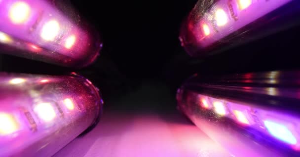 Ροζ Λαμπτήρες Φθορισμού Ρίχνει Απαλή Λάμψη Φωτίζοντας Χώρο Λεπτό Φως — Αρχείο Βίντεο