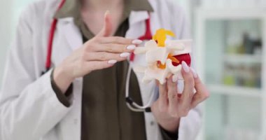 Kadın fizyoterapist klinikte insan omurgasının bir parçasını tutuyor. Doktor, hastanın tavsiye ettiği omurganın yapısını açıklıyor.