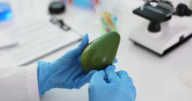 Laboratuvar çalışanı işlemden sonra avokado taşır. Uzman, testten sonra meydana gelen değişiklikleri kaydederek rengi ve genel görünümü gözlemler