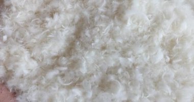 Yastıktan yumuşak kuş tüyleri yatağa saçılmıştı. Yatak odası yastık dolgusunun neden olduğu dağınıklığa rağmen davetkar atmosferi korudu