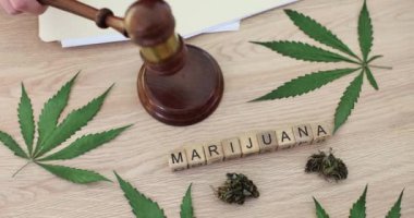 Marihuananın yasallaşması ya da marihuana kaçakçılığının yükümlülüğü. Yargıç tokmak ve kuru marihuana masaya esrar bırakıyor.